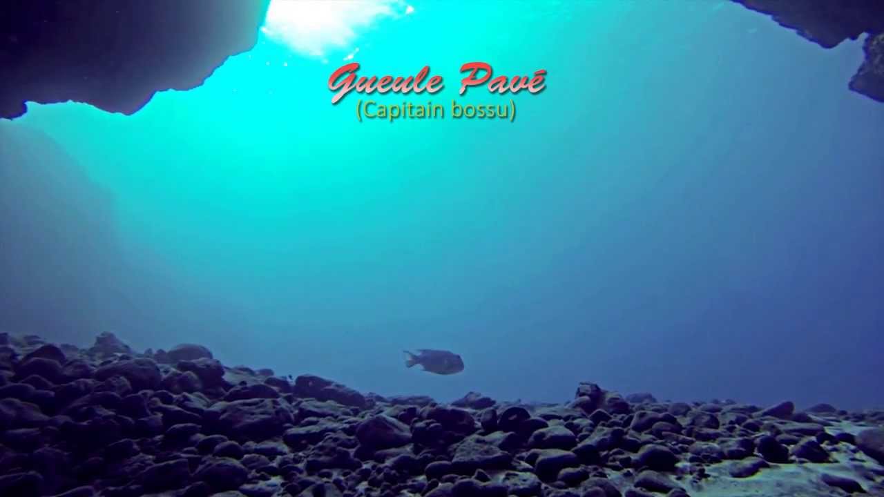 Apnée Réunion freediving Gopro Héro 3 Black édition