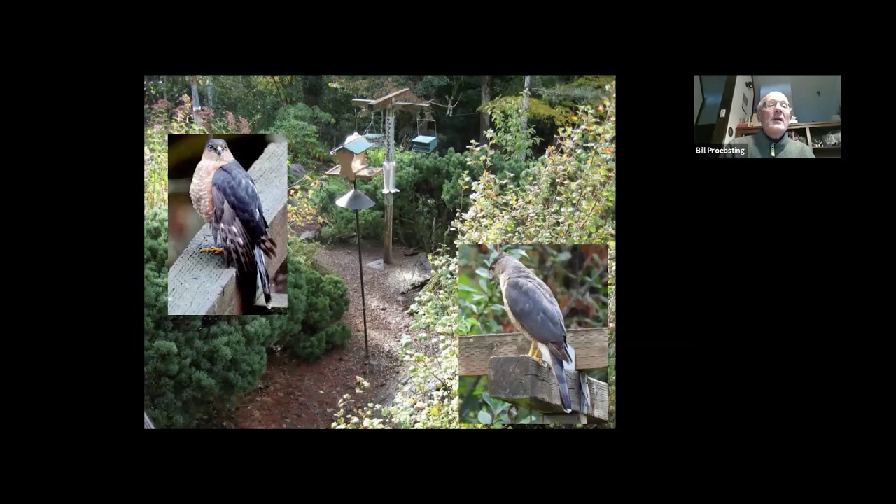 Gardening for Birds - Bill Proebsting Presentation 042020