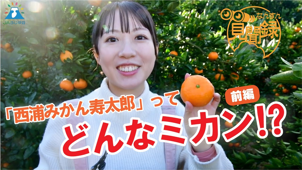 【なんすん見聞録】前編「西浦みかん寿太郎」