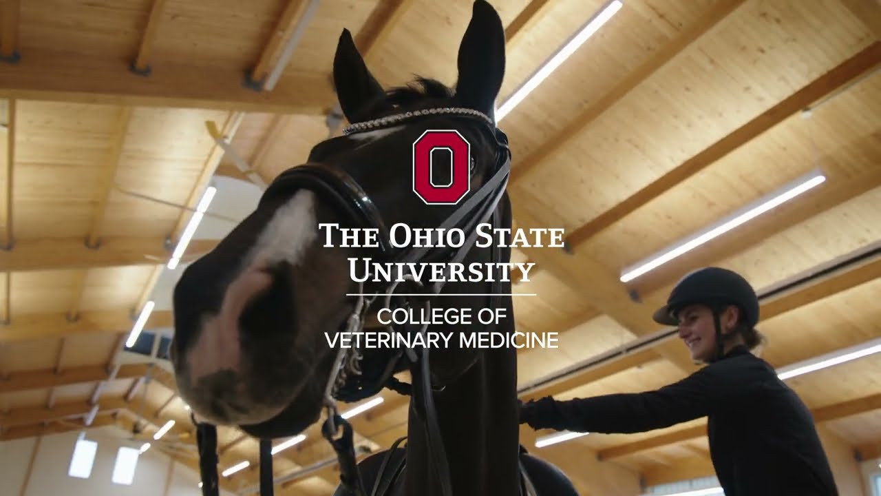 Equine Sports Medicine