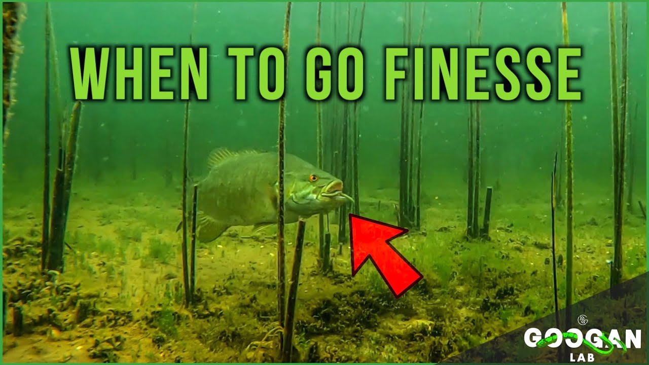 WHEN TO DOWNSIZE LURES and GO FINESSE! ( BASS FISHING TIPS )