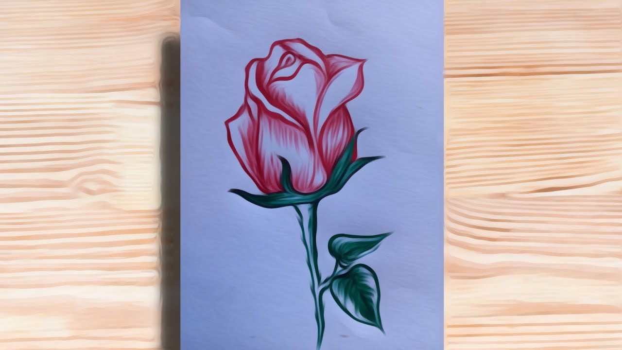 Rose drawing with red and green ball pen || very easy drawing rose