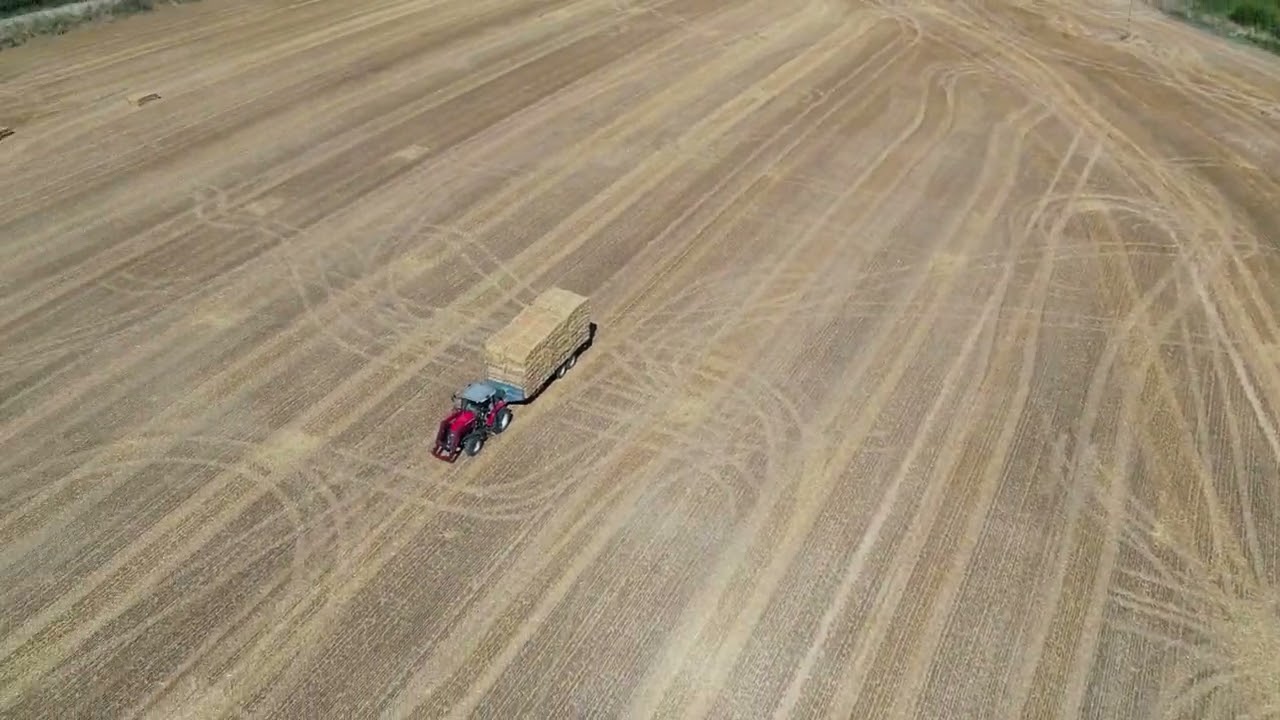 Telehandler Loading Straw Bales (4k)