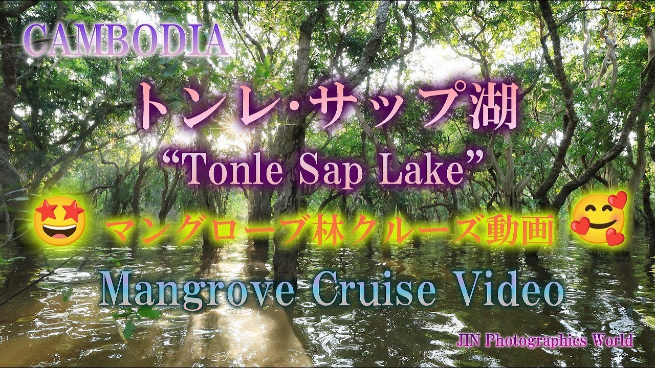 トンレ・サップ湖クルーズ Part 1💛【水上集落、マングローブ観賞動画】 [Tonle Sap Lake Floating Village and Mangrove Viewing Video🤩]