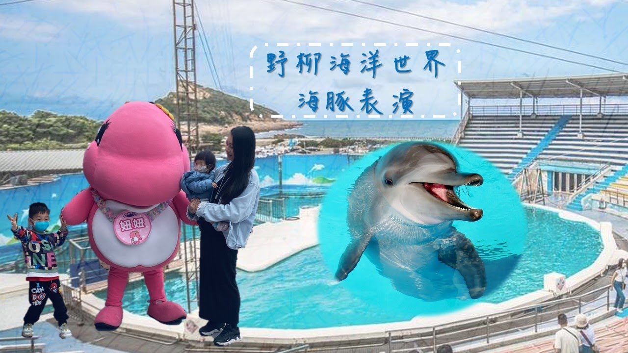 野柳海洋世界 海豚表演