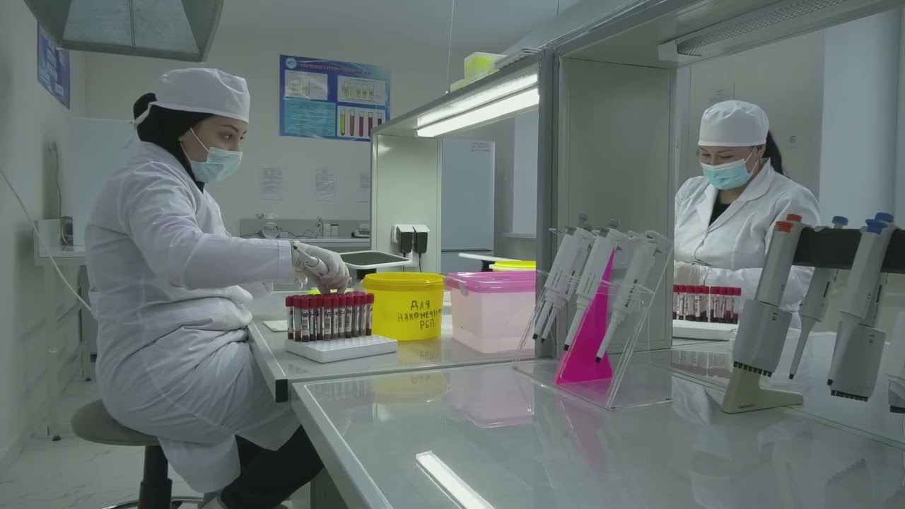 Экибастуз  Новости  Осторожно бешенство!