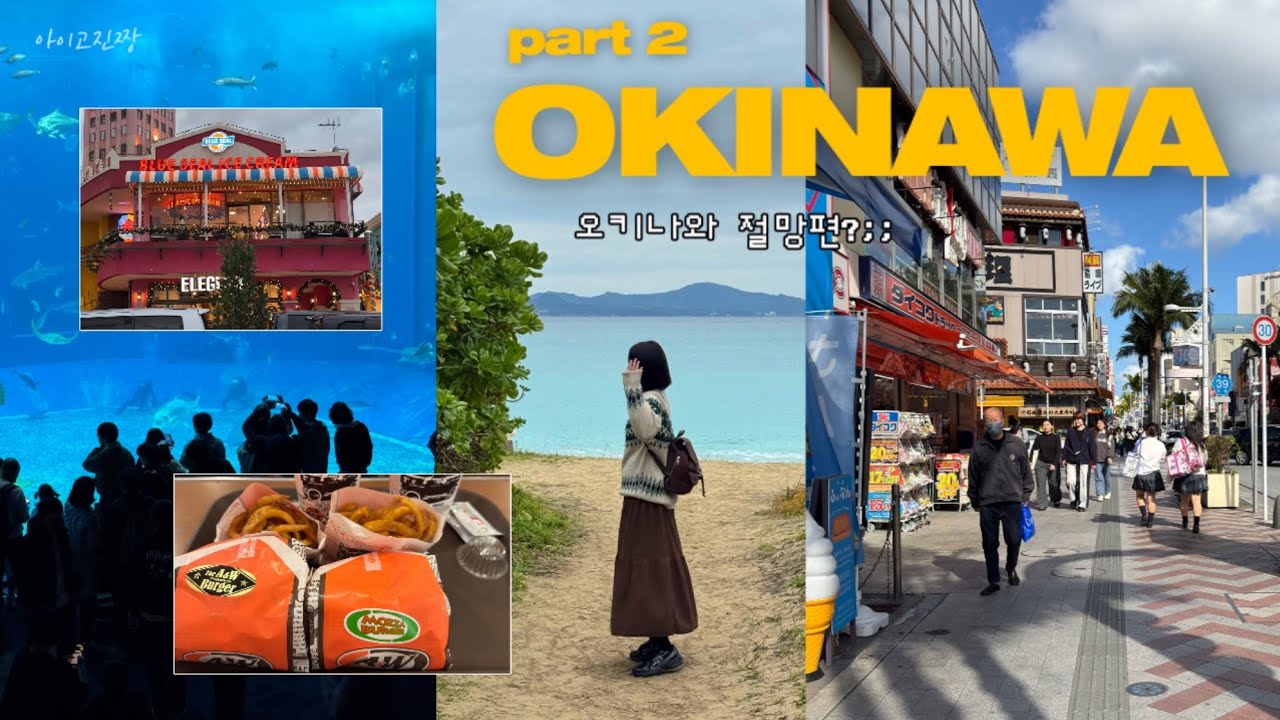 🇯🇵2월 비수기 오키나와 절망편?;; 그래도 츄라우미수족관, 아메리칸 빌리지, 국제거리는 다 갔다 | 현실 후기 | 인생 스테이크집, 가성비 술집 | 오키나와가서 바다 안 본 사람