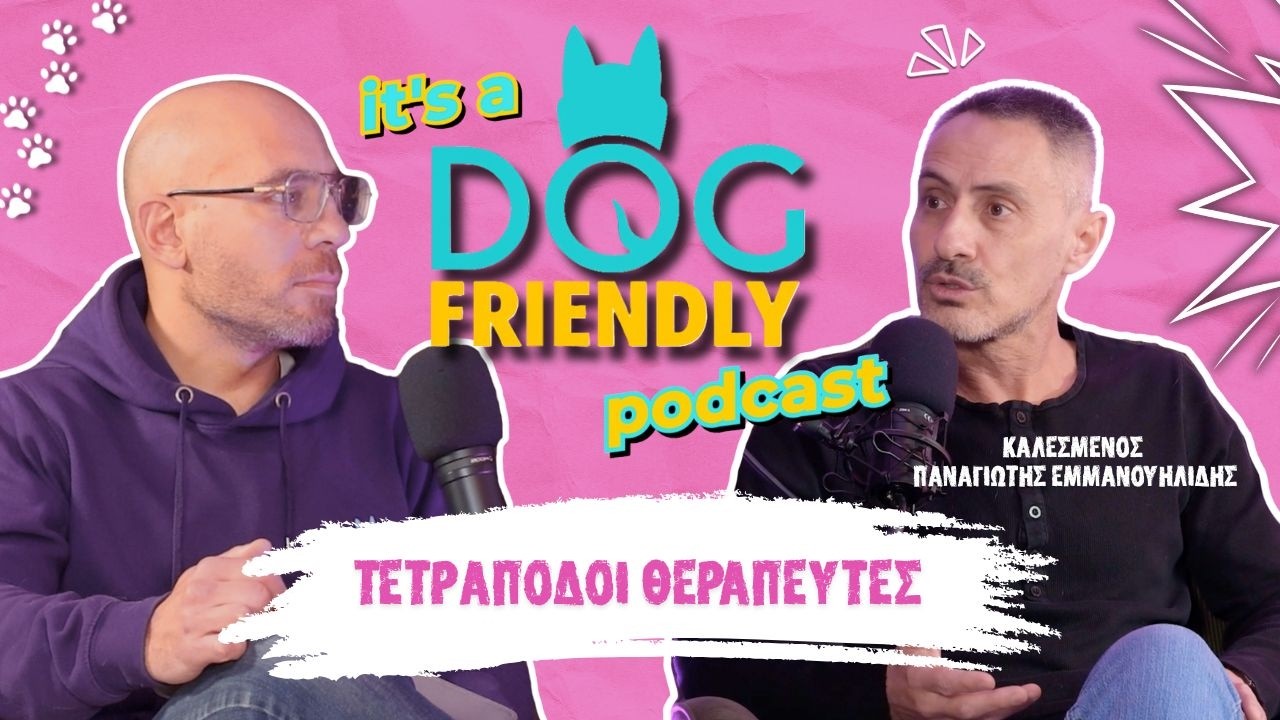It's a dog friendly Podcast EP 2   Όνο ο σκύλος θεραπείας και η ιστορία της .