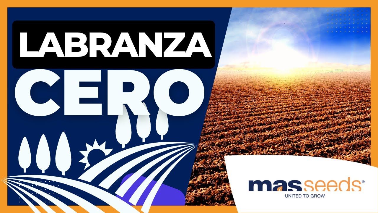 🚜 LABRANZA CERO ▶︎ Técnicas y BENEFICIOS de la AGRICULTURA DE CONSERVACIÓN ❌