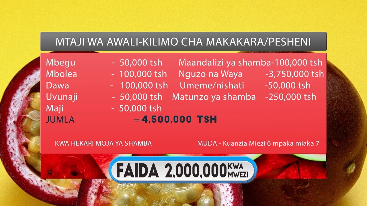 KILIMO CHA PESHENI (MAKAKARA)