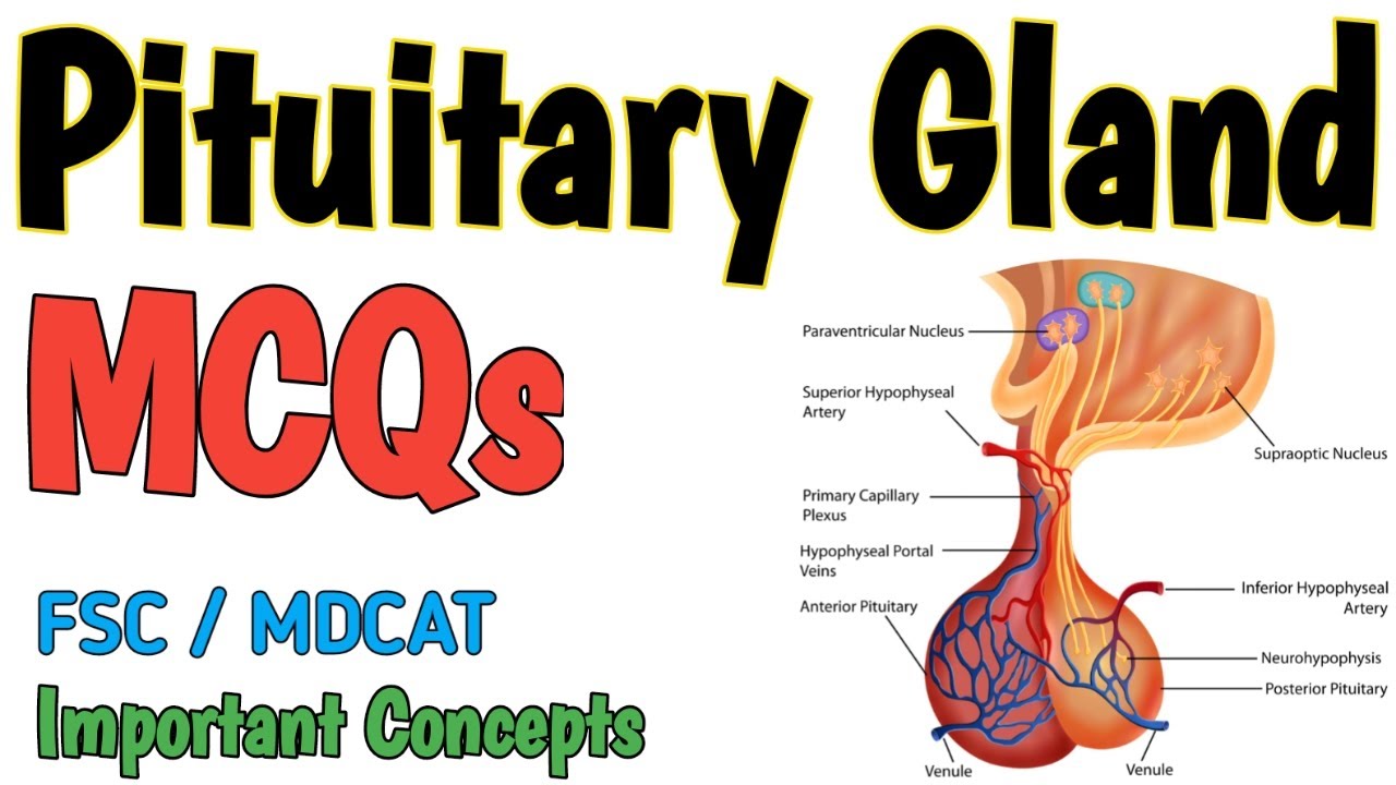 PITUITARY GLAND | MCQS | CHEMICAL COORDINATION | FSC BIOLOGY and MDCAT | NEET