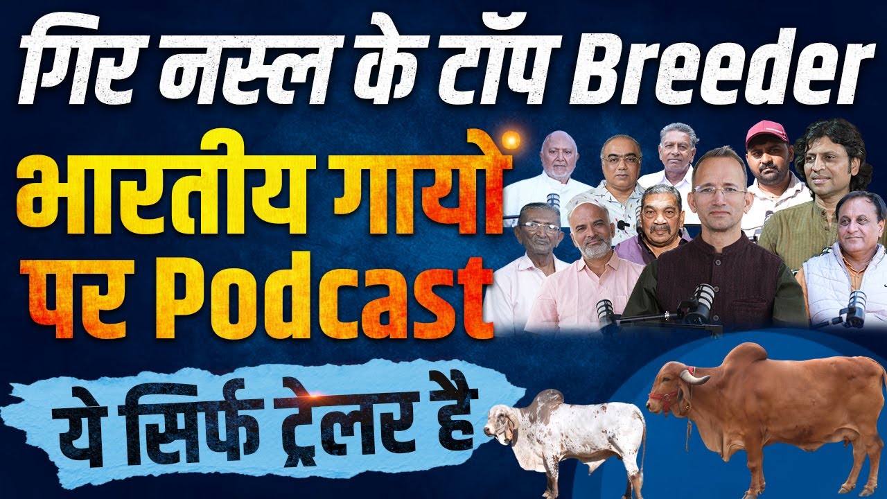 Gir Cow पर Podcast । Bhadwa Bapu, Ghanshyam Ji, Rajsi Bapa, Maharaja Bhavnagar क्या बोले । TEASER ।