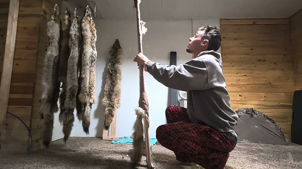 Flipping a coyote fur side out