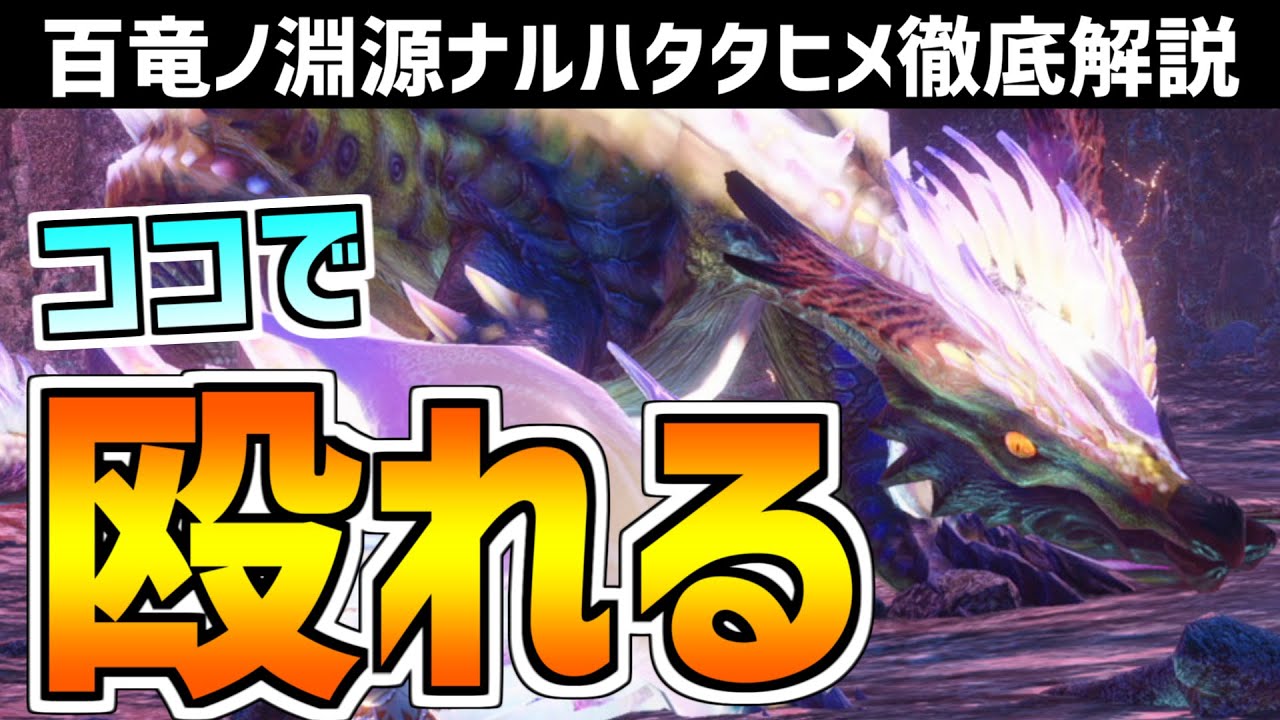 苦手な人はコレ見て！