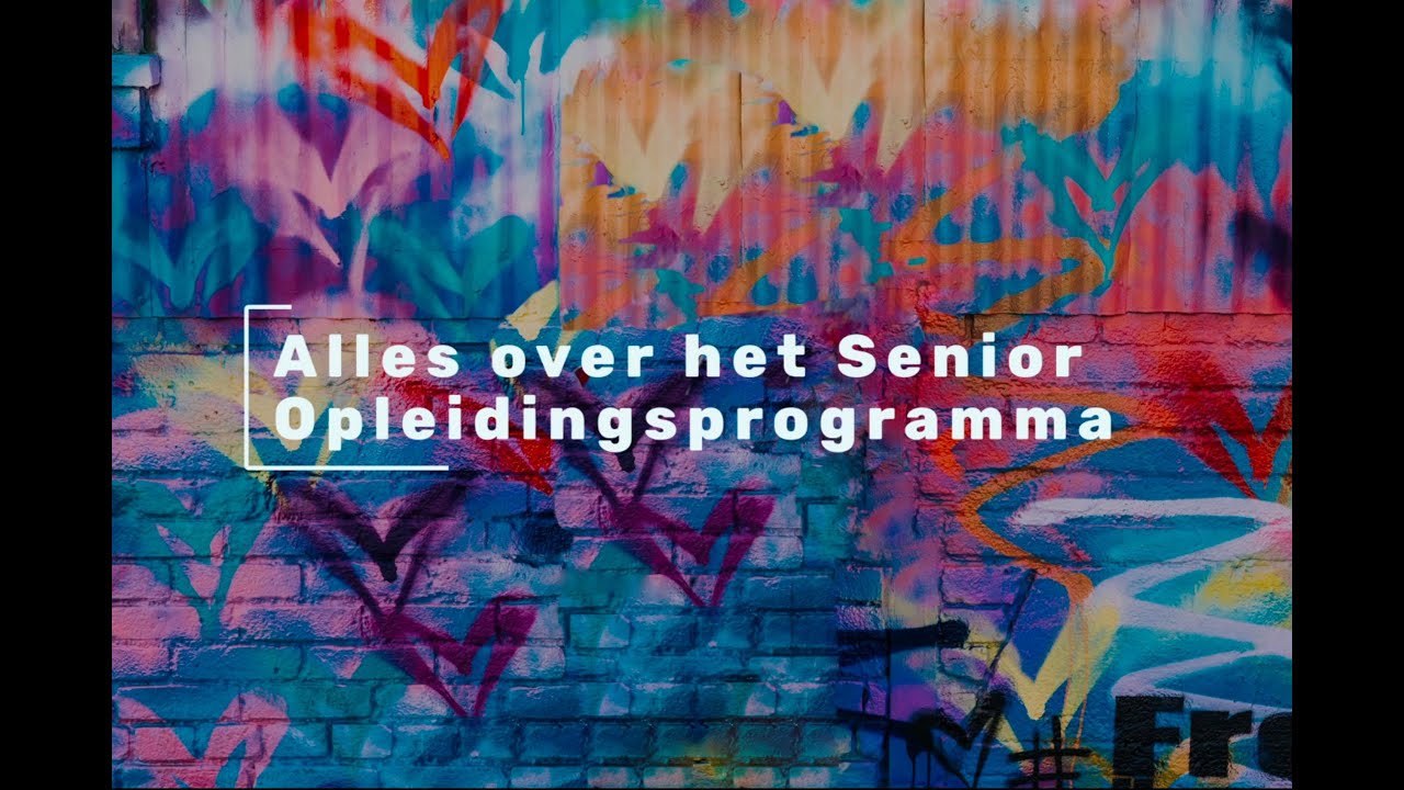 Senior Interim Professional bij Rvdb