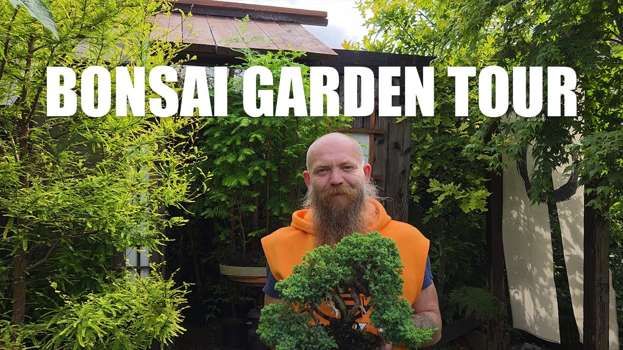 Summer tour of our Bonsai Garden...
