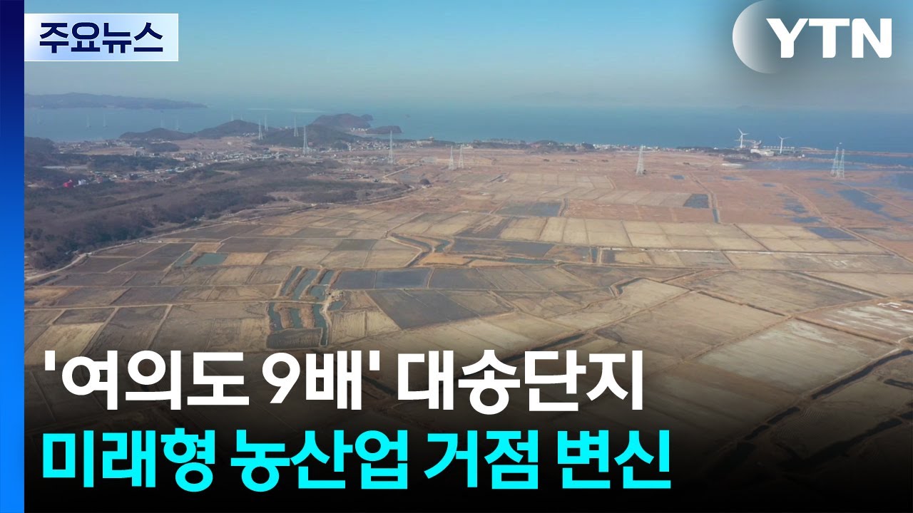 '여의도 9배' 안산 대송단지, 미래형 농산업 거점 변신 / YTN