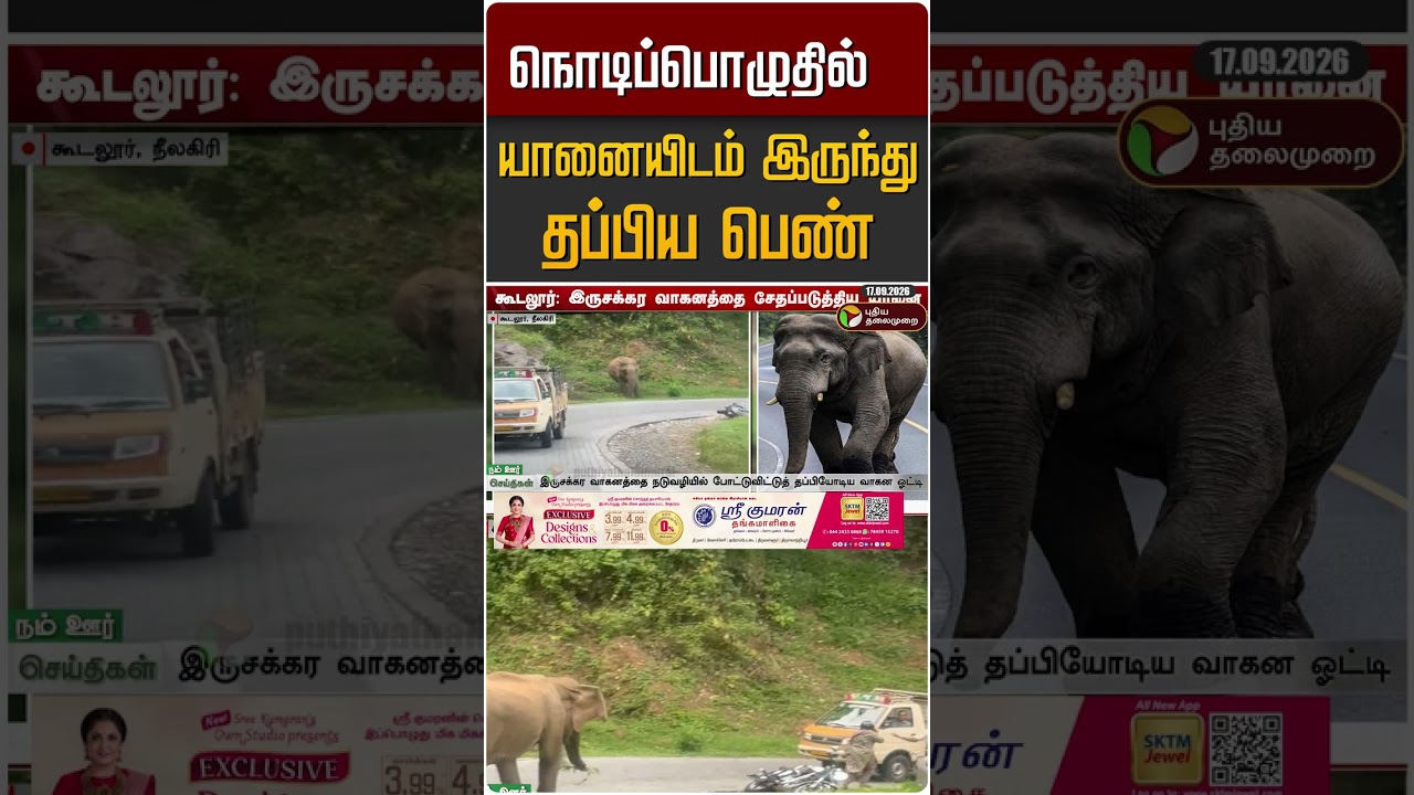 நொடிப்பொழுதில் யானையிடம் இருந்து தப்பிய பெண்