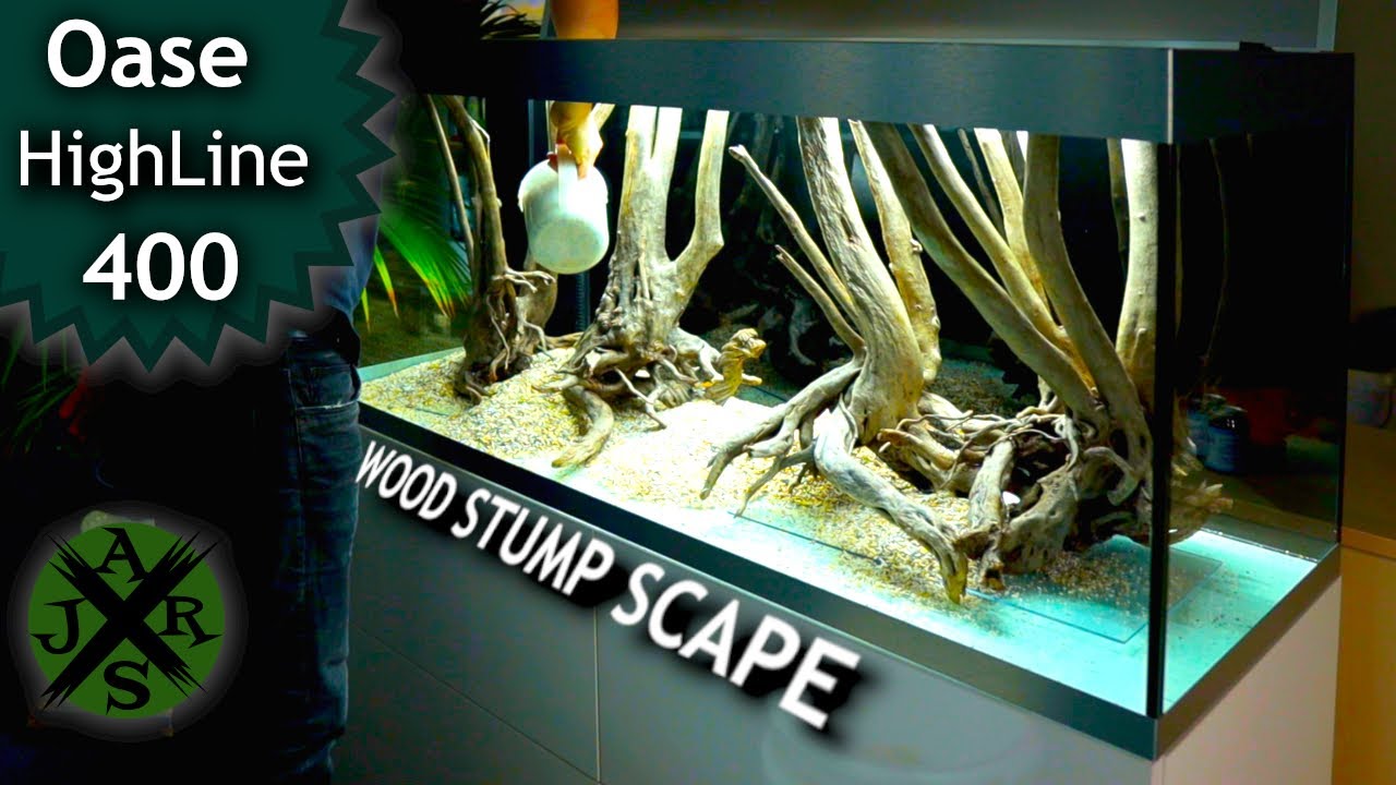 Oase HighLine 400 | Wood Stump Scape | JR Aquascaping