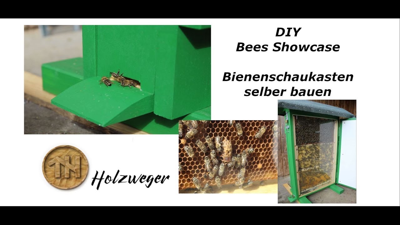 Bienen - Bienenschaukasten - Selber bauen - DIY - Helmchen