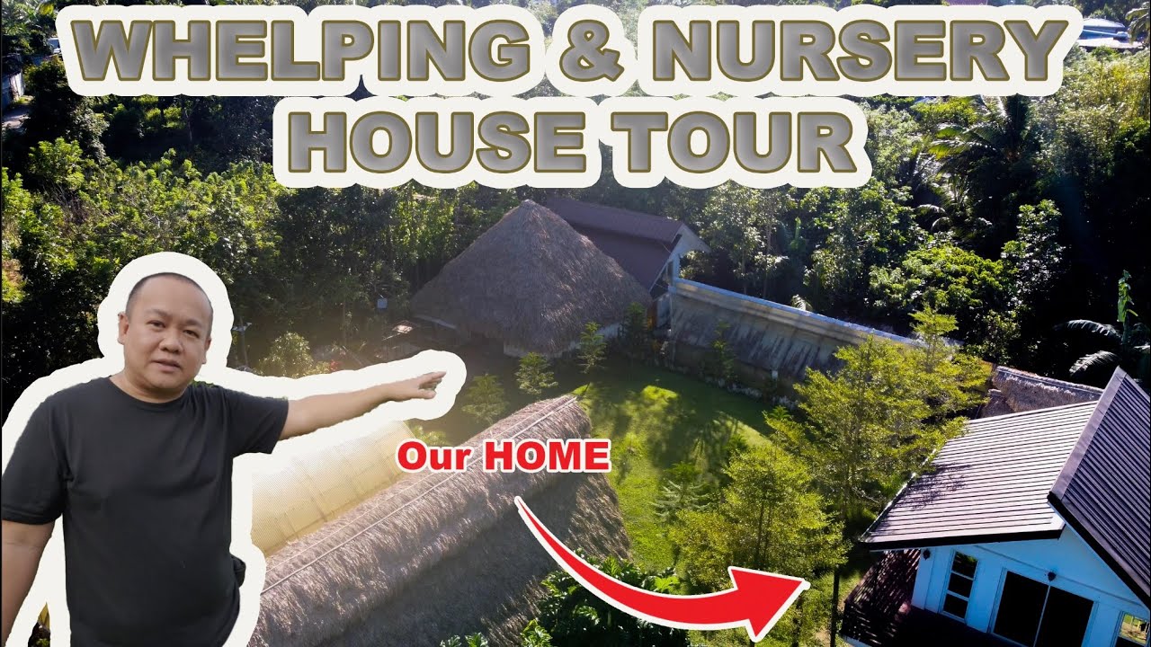 Supero Dog Farm's Whelping and Nursery House Tour