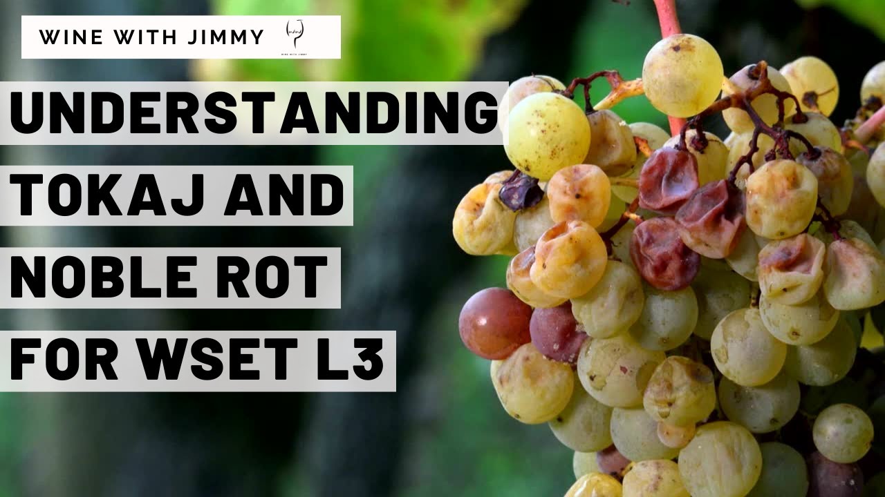 WSET, уровень 3, Токай, часть 1 — Климат, благородная гниль, ключевые сорта винограда