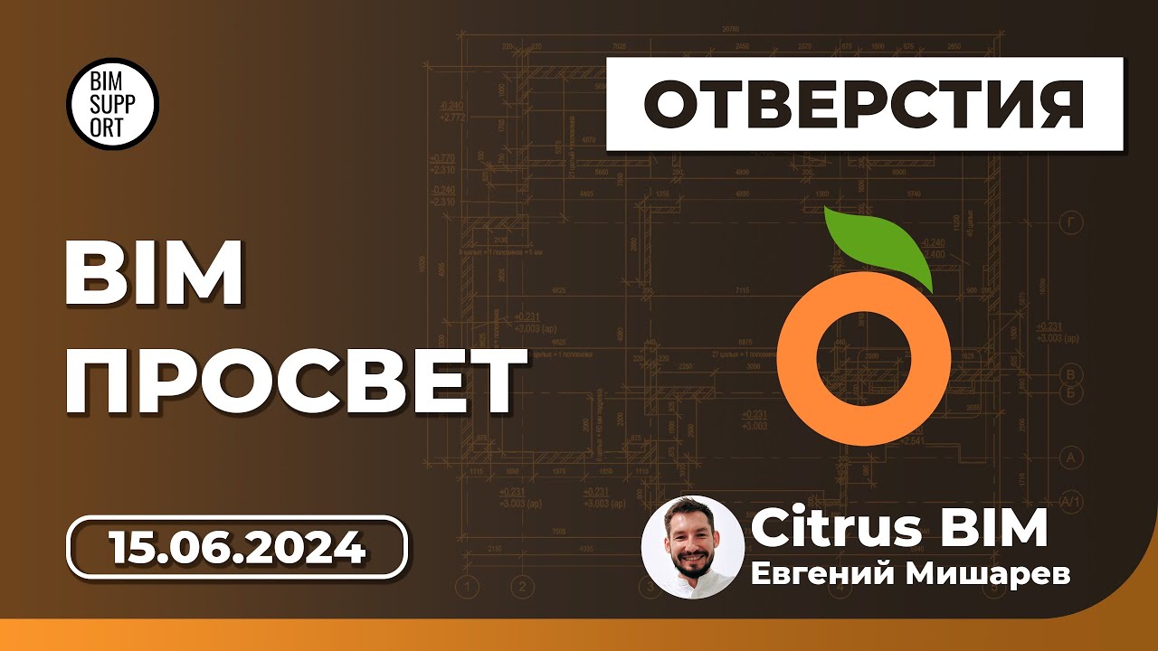 Отверстия в Revit. Подход Citrus BIM. Спикер: Евгений Мишарев. BIM Просвет 15.06.2024