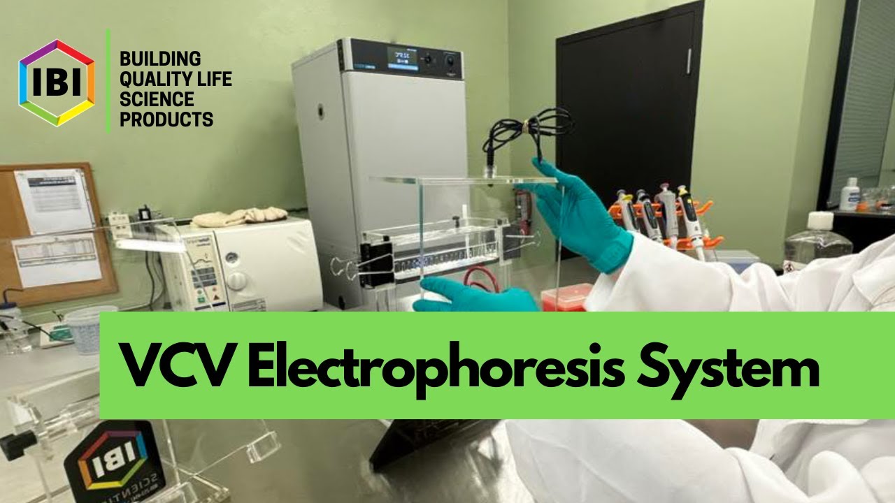 VCV Electrophoresis System