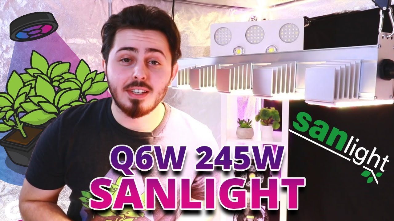 Introducing the Q6W Horticultural LED Lamp || 245W || from Sanlight! 🔥