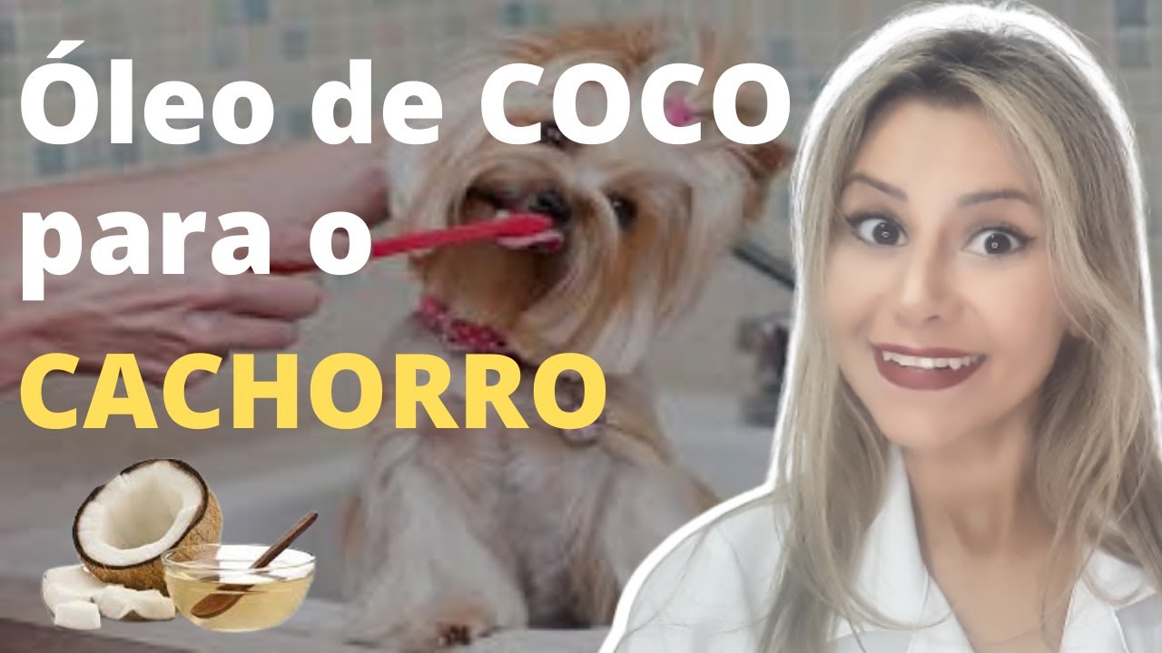 ÓLEO DE COCO PARA CACHORRO |Porque você deve começar a escovar os dentes do seu cão com óleo de coco