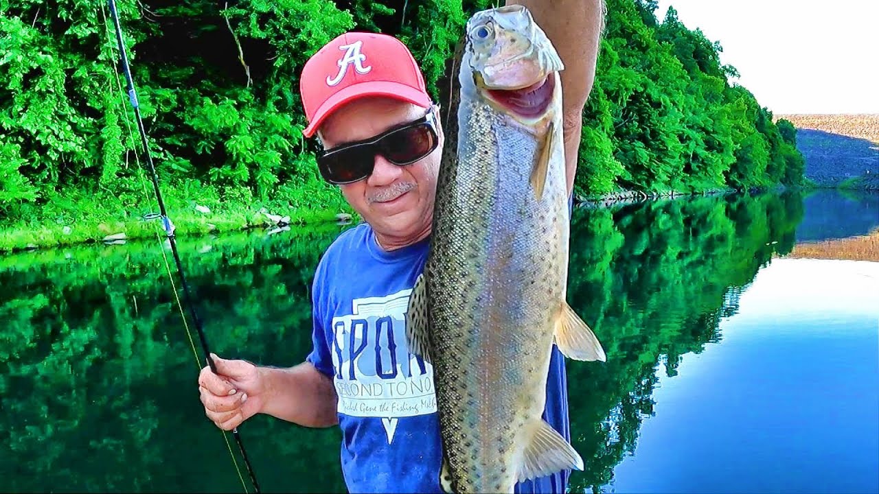 Catch Trout EASY With This SIMPLE Setup!!!