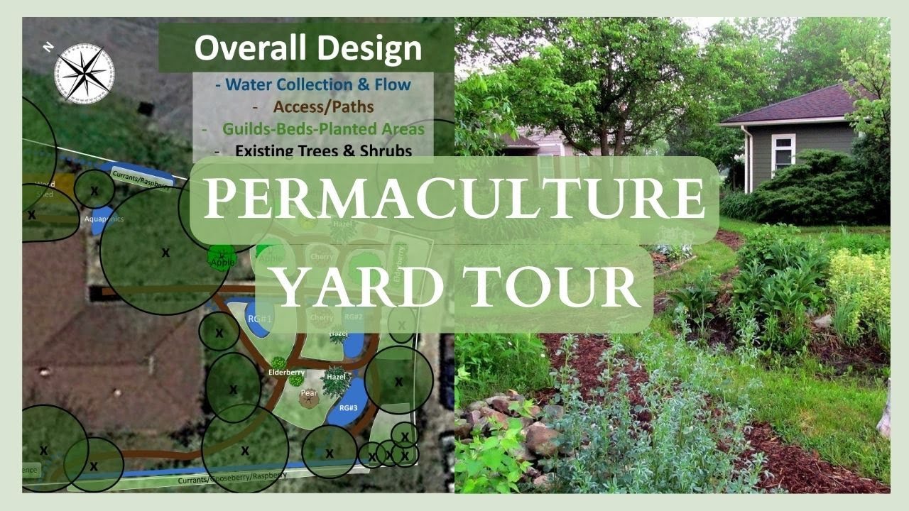 A Virtual Tour of Midwest Permaculture's Yard