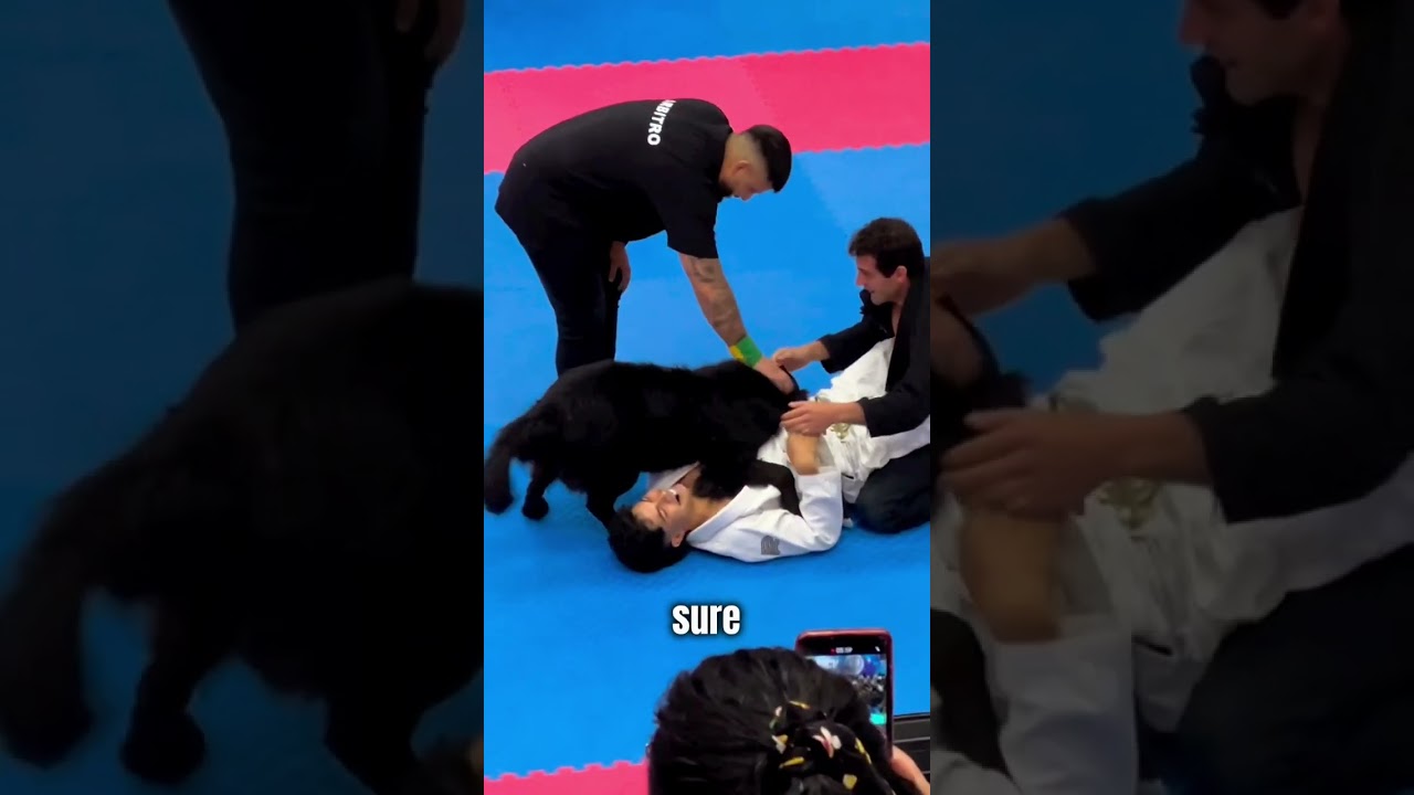 Dog Interrupts Wrestling Match