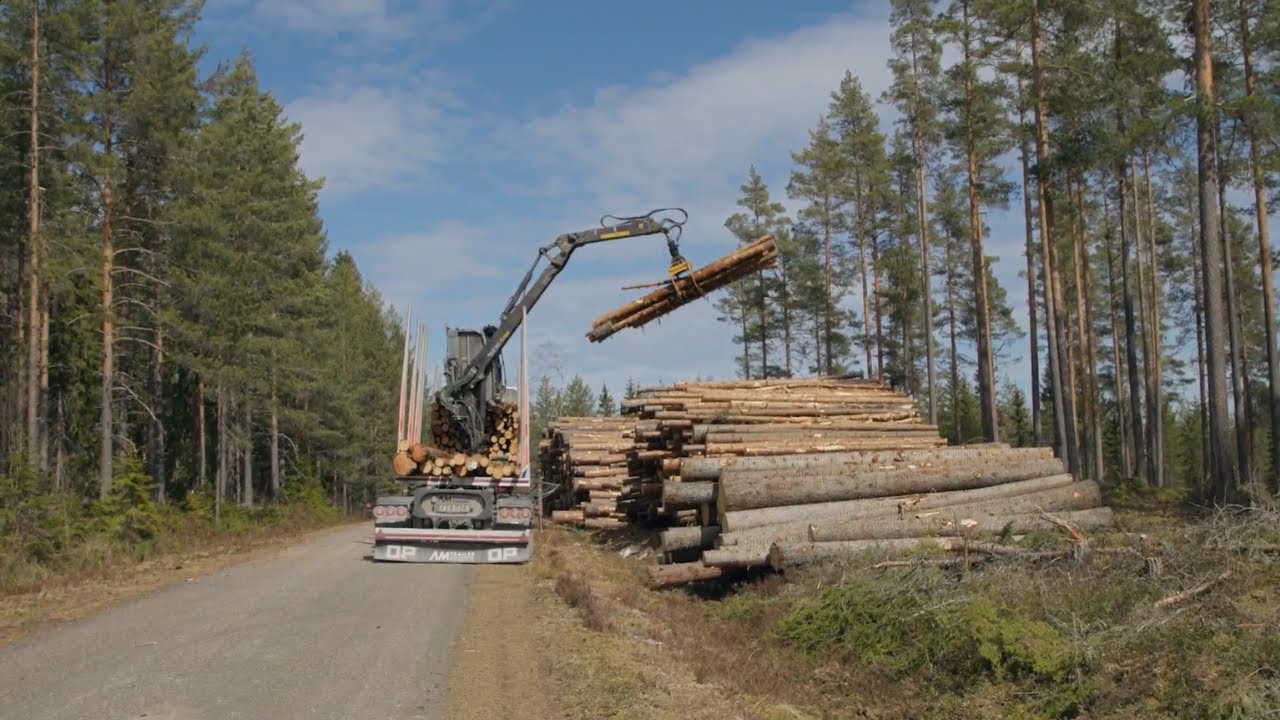 Case Mångs Åkeri: One Timber ensures accurate timber weighing