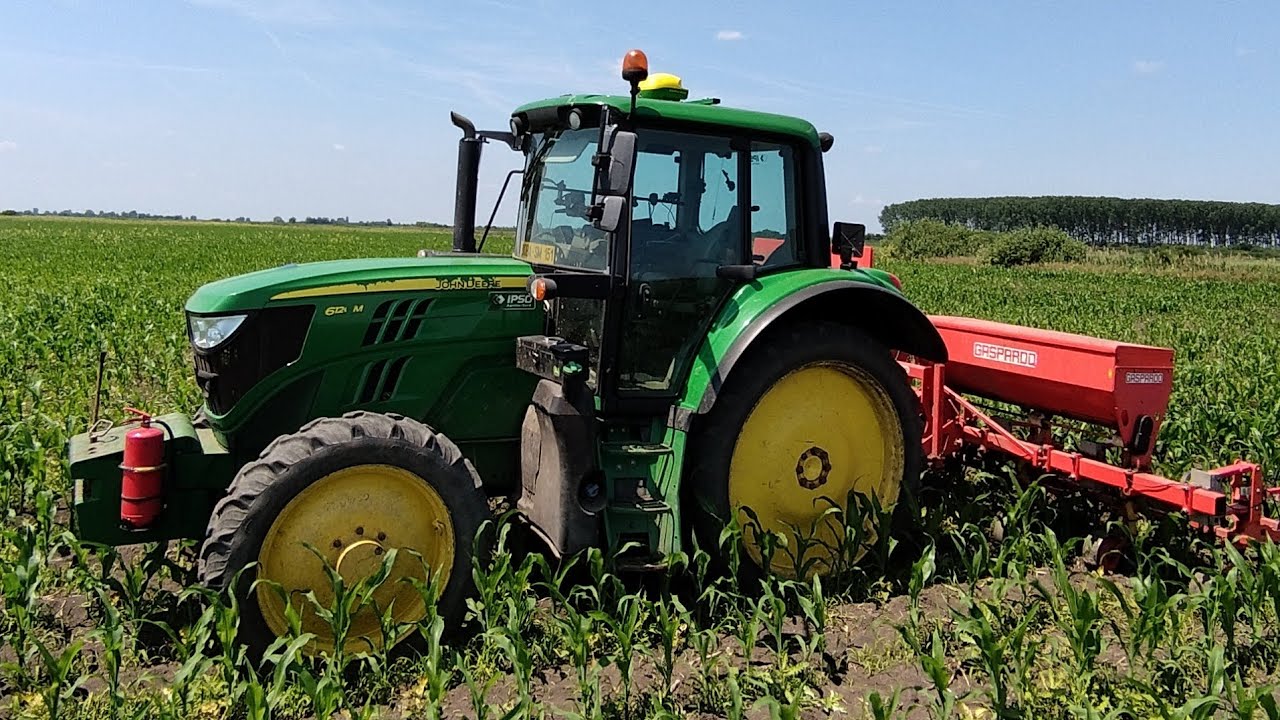 Am băgat la prășit de Porumb 2024 #tractor #workout #funny #sunset #agriculture #agro  #motivation