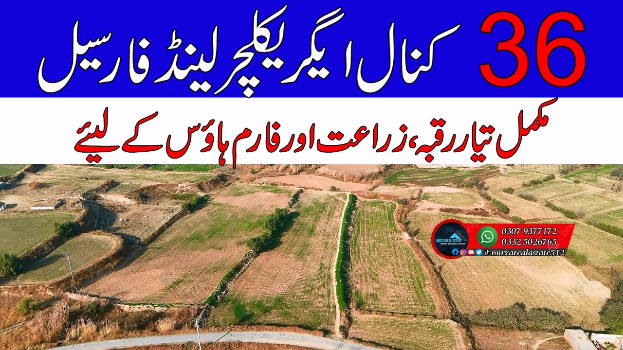 36 Kanal agriculture land for sale | Zari Raqba | District Chakwal | Mirza Real Estate#landforsale
