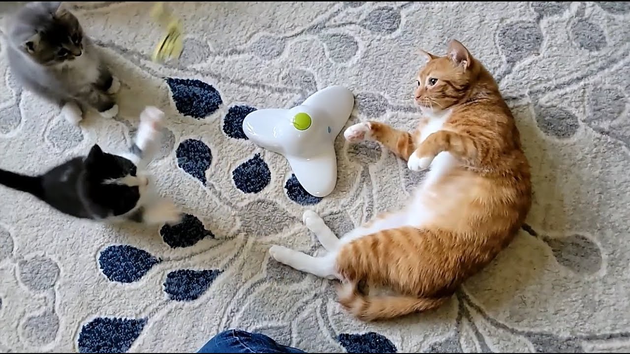 2024-05-14 Micro: Skyscrapers in the Spa