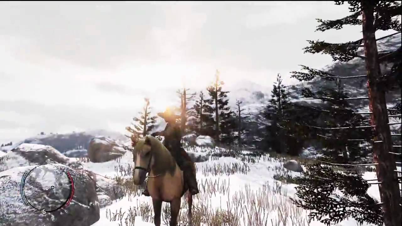 Red Dead Redemption Hidden Treasure Rank #9 (Stonewall's Gold)