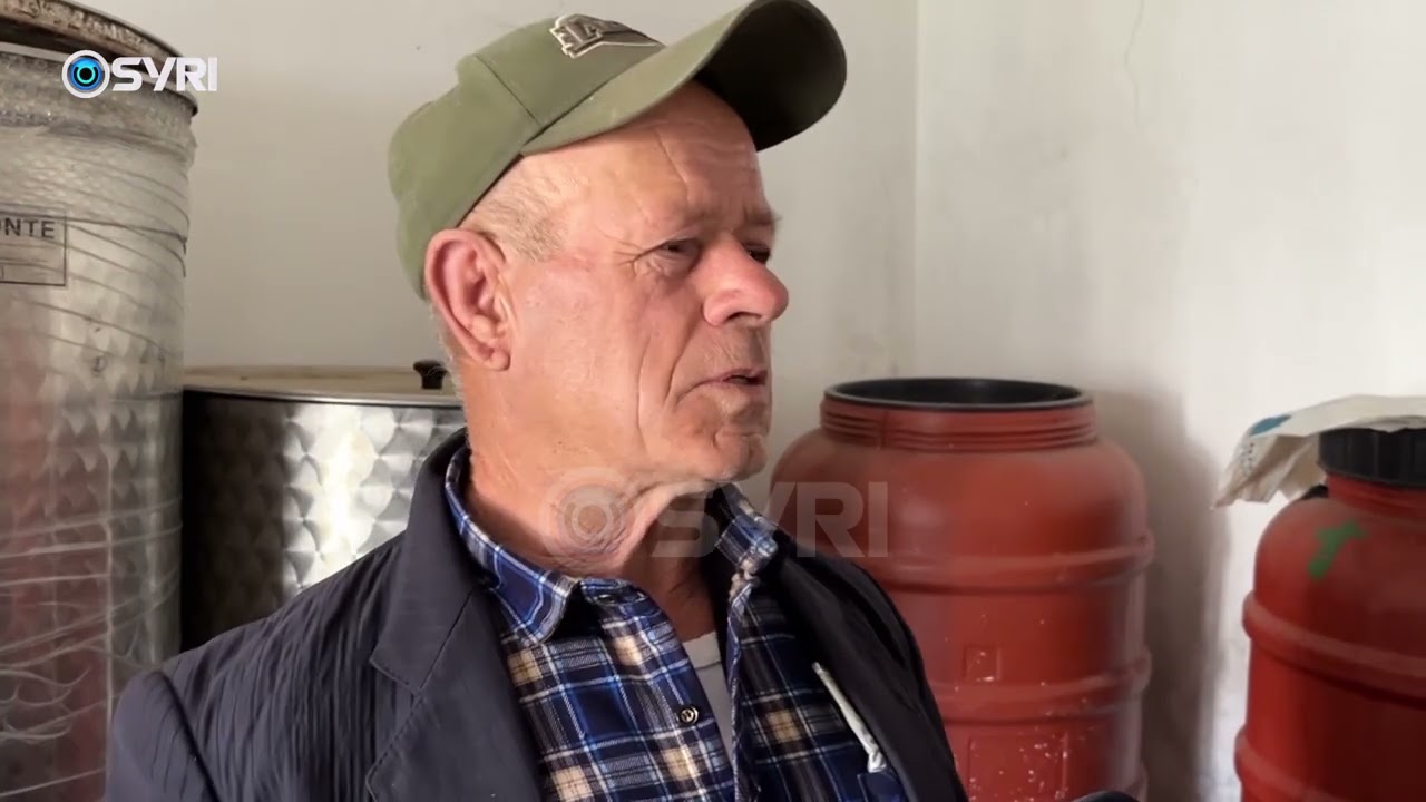 Tonelata vaj ulliri mbeten stok pa shitur, fermerët në Patos po falimentojnë