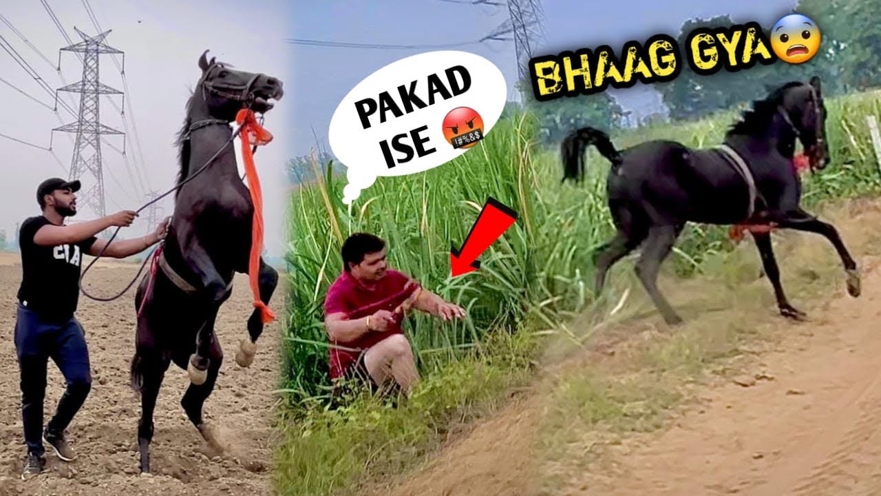 RADHE Papa Ko Khet Mai Gira Kr Bhaag Gya 😡