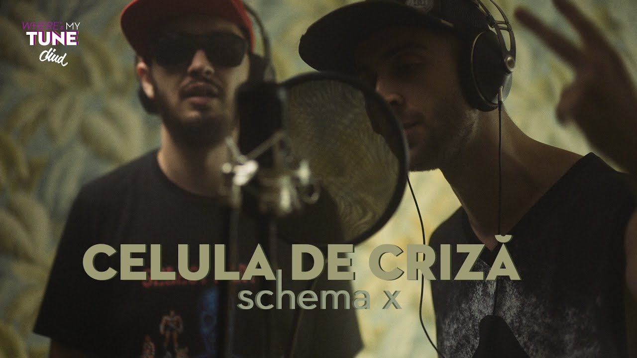 Celula de Criza - schema X  | Diud, where's my tune?