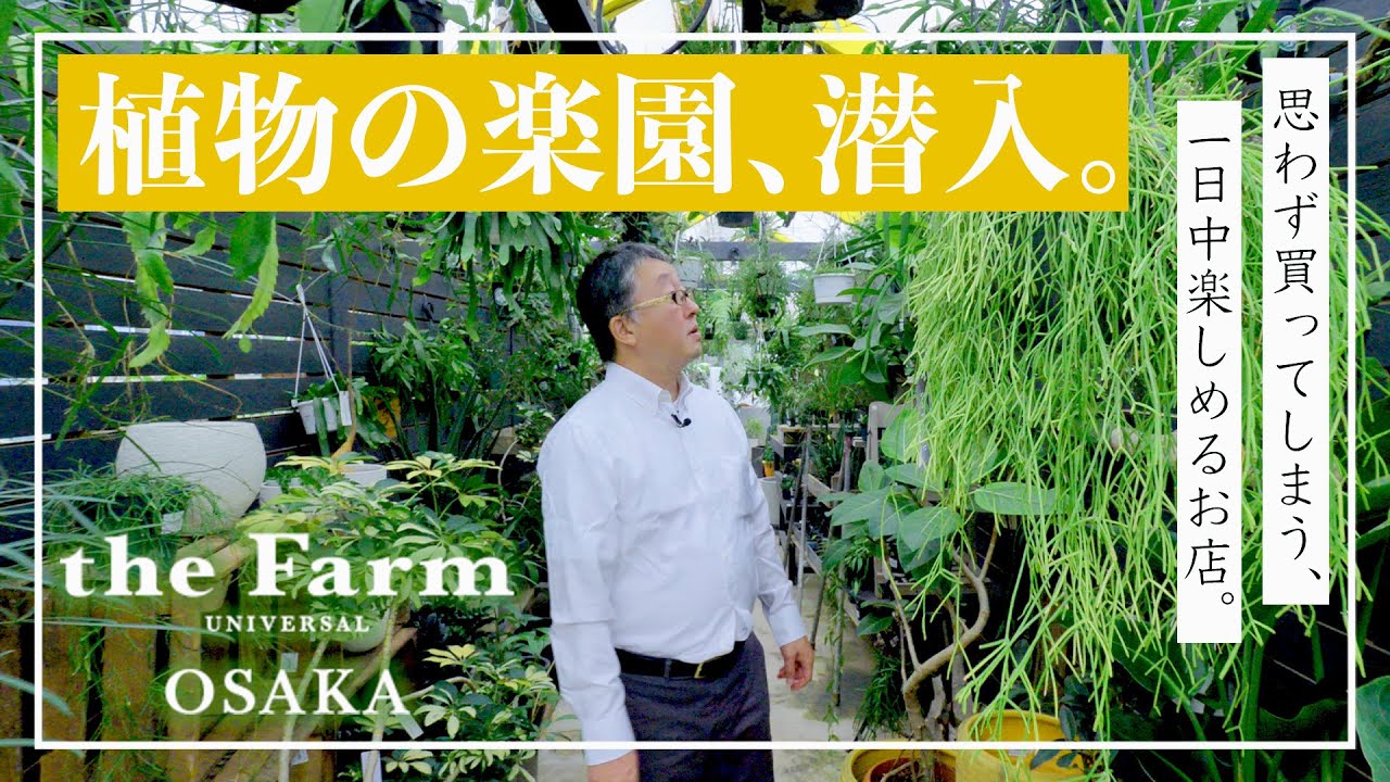 【観葉植物】the Farm UNIVERSAL OSAKAに潜入してみた！
