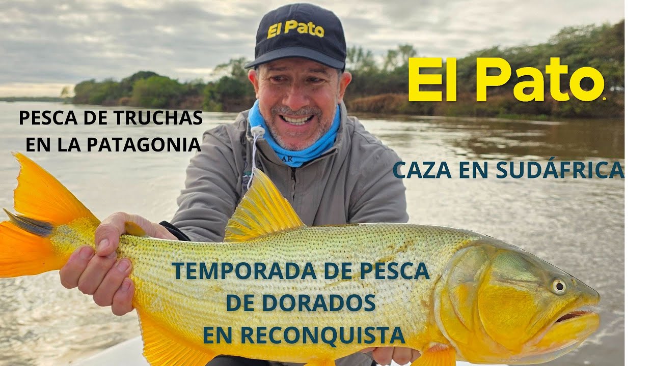 PESCAMOS DORADOS EN RECONQUISTA, TRUCHAS EN LA PATAGONIA Y CAZA EN SUDÁFRICA - EL PATO TV 1202