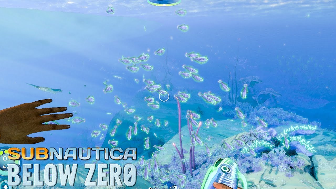 Riding a Whale 300 meters down Subnautica Below Zero