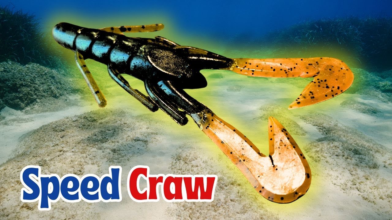 Bass Classic Goes Salt – How to Fish the Speed Craw For Saltwater