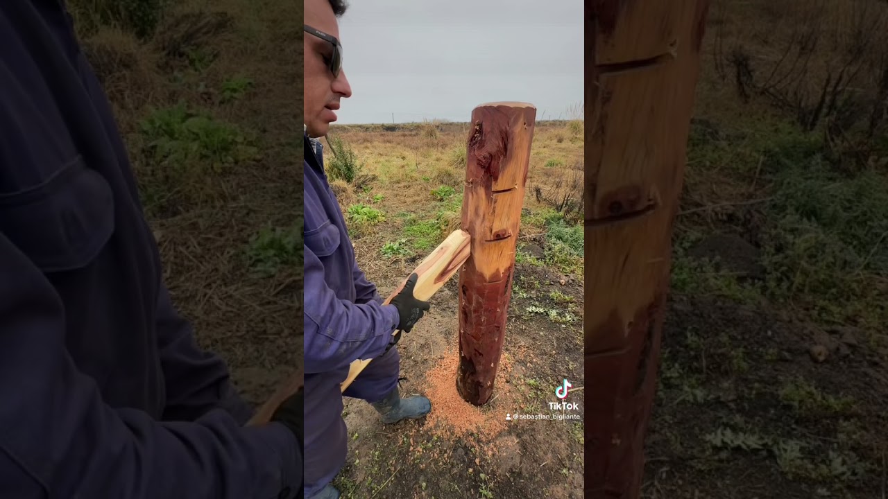 Colocación de puntal para un alambrado