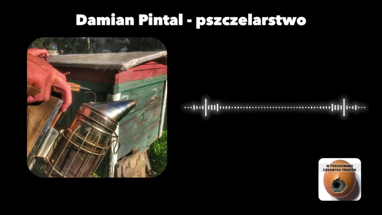 Pszczelarstwo w mieście – pasja na dachu bloku? 🐝