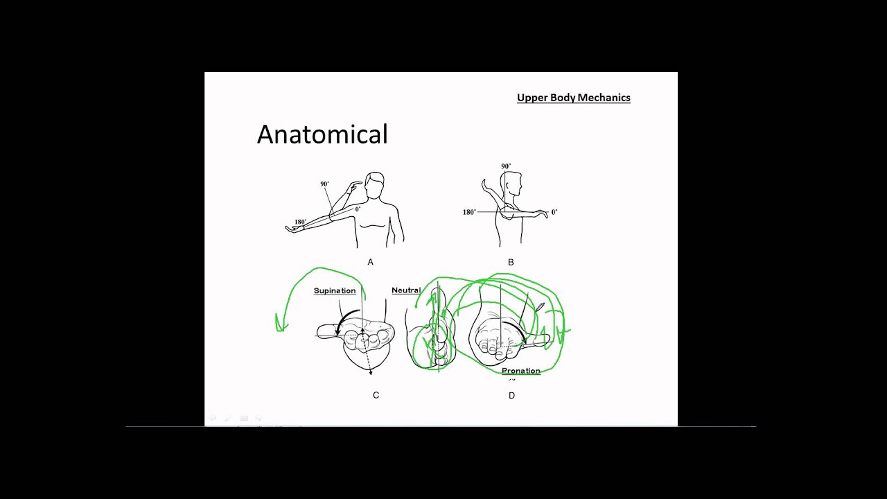 Baseball - Introduction to the Biomechanics of Hitting: Upper Body Mechanics