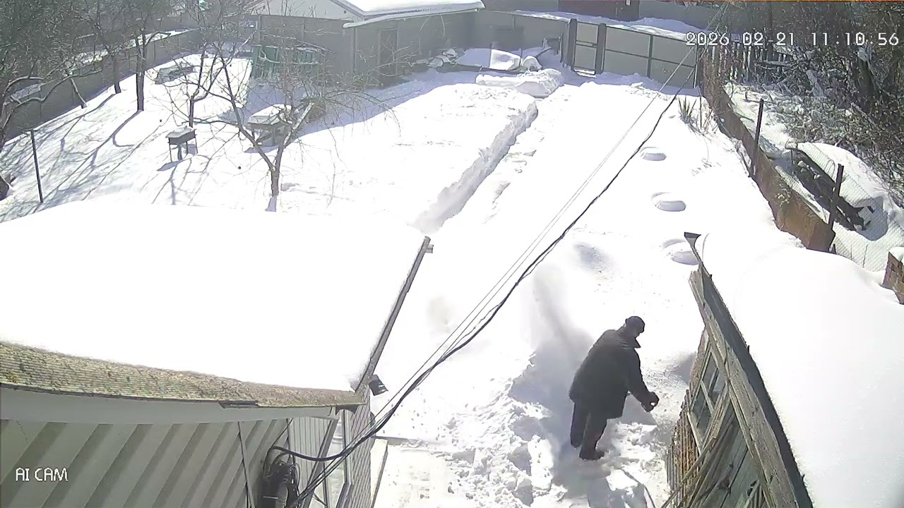 snow remover 2