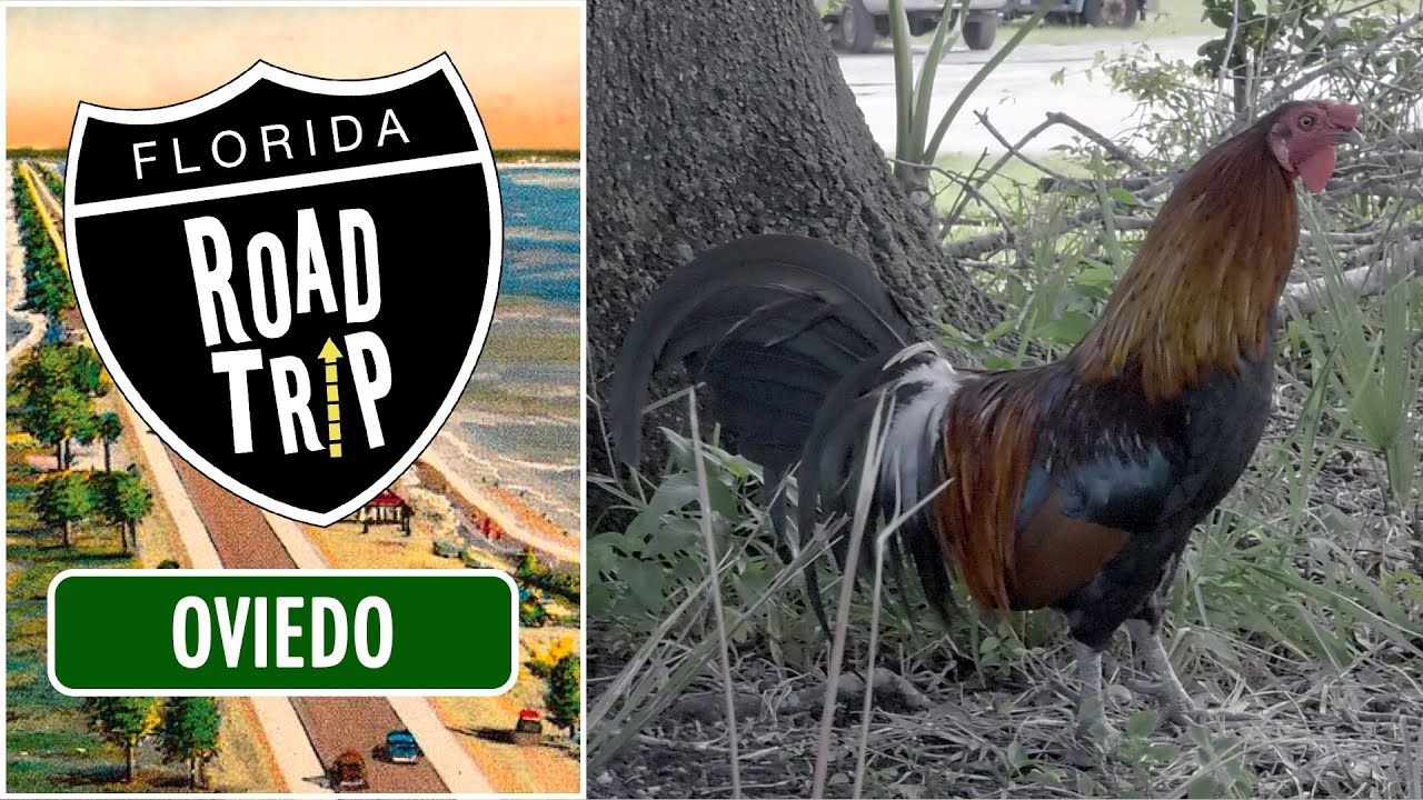 Florida Road Trip: Oviedo | FULL EPISODE